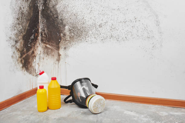 Best Mold Removal Specialists  in Pawhuska, OK