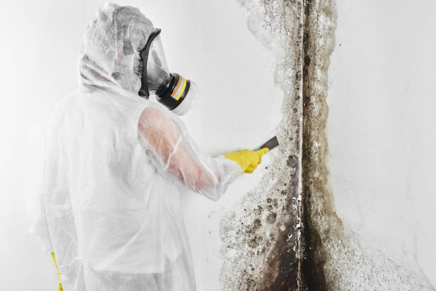 Best Professional Mold Removal  in Pawhuska, OK