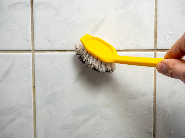 Best Fast Mold Removal  in Pawhuska, OK