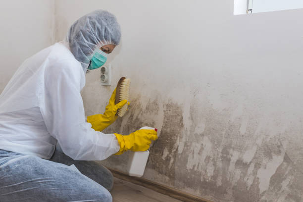 Home Mold Removal in Pawhuska, OK