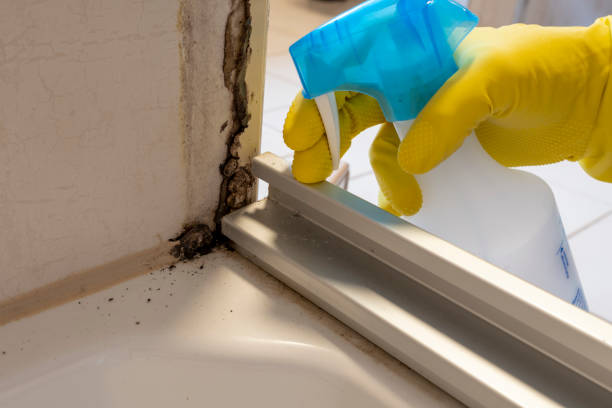 Water Damage Restoration in Pawhuska, OK
