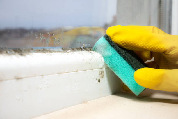 Best Affordable Mold Removal  in Pawhuska, OK