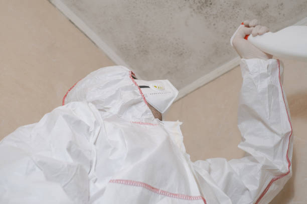 Best Mold Testing  in Pawhuska, OK