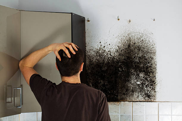 Best Mold Damage Repair  in Pawhuska, OK
